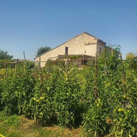 Отель Au Mas De Janita Cahuzac-sur-Vere Экстерьер фото